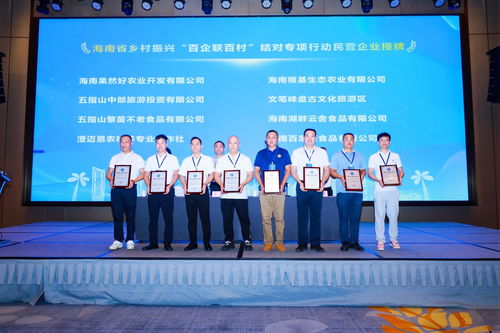 政企村協同共建，海南專項行動引領鄉村振興新篇章——陵水現場會圓滿召開